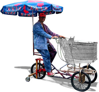shopping cart bike for elderly
